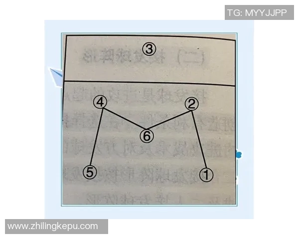 南京排球队反击体系深度解析与战术创新探讨