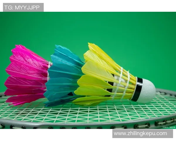 杨丽独家分享羽毛球技巧与心得助你提升竞技水平与乐趣 杨丽独家分享羽毛球技巧与心得助你提升竞技水平与乐趣