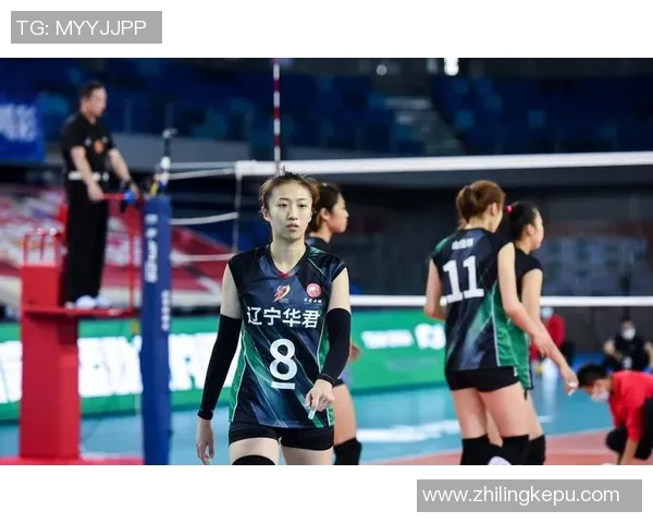 武汉排球队领跑最新排球个人能力TOP10榜单分析与解读