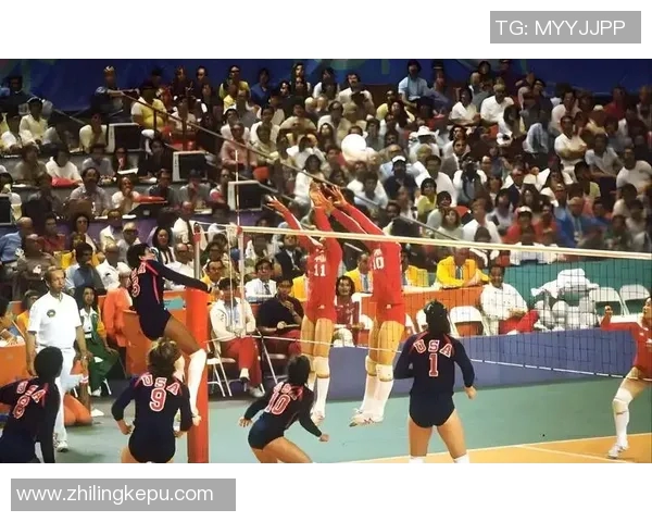 赵敏的排球人生深度对话探索她的成长与奋斗历程